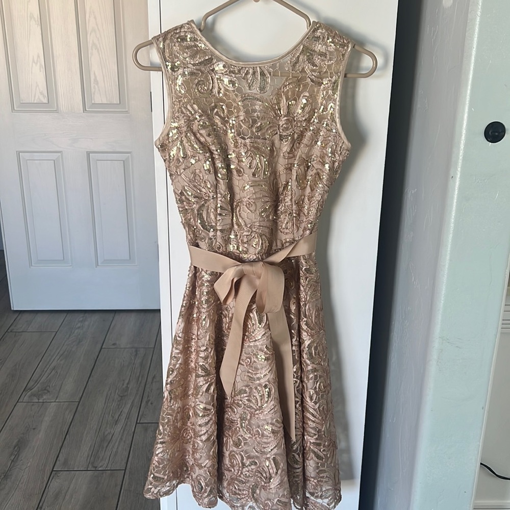 Betsy Adam Dress